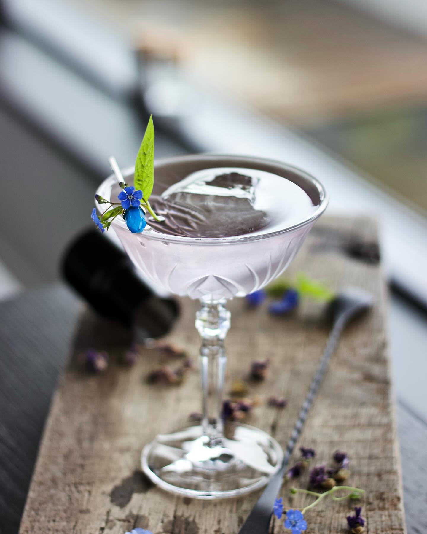 HOTEL PORTOFINO - SEIERS - Scandinavian Craft Bitters